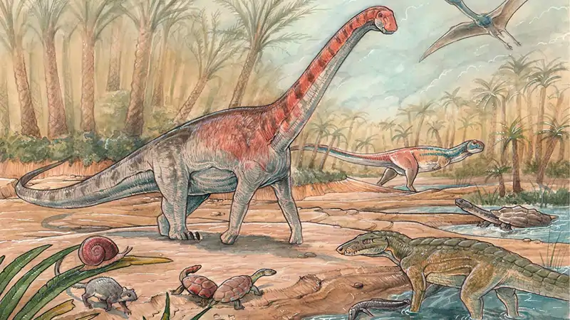 Reconstrucción de la fauna 