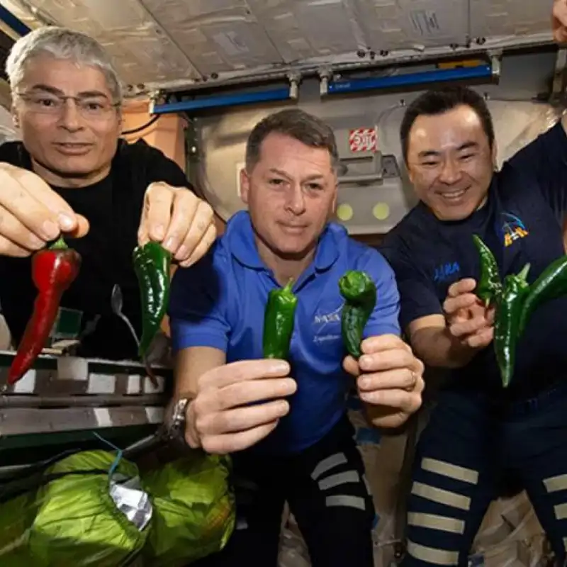 "Charlie Brown", el curioso efecto que explica la pasión de los astronautas por el picante 