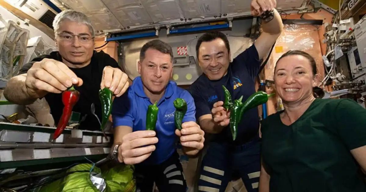 El curioso efecto que explica la pasión de los astronautas por el picante