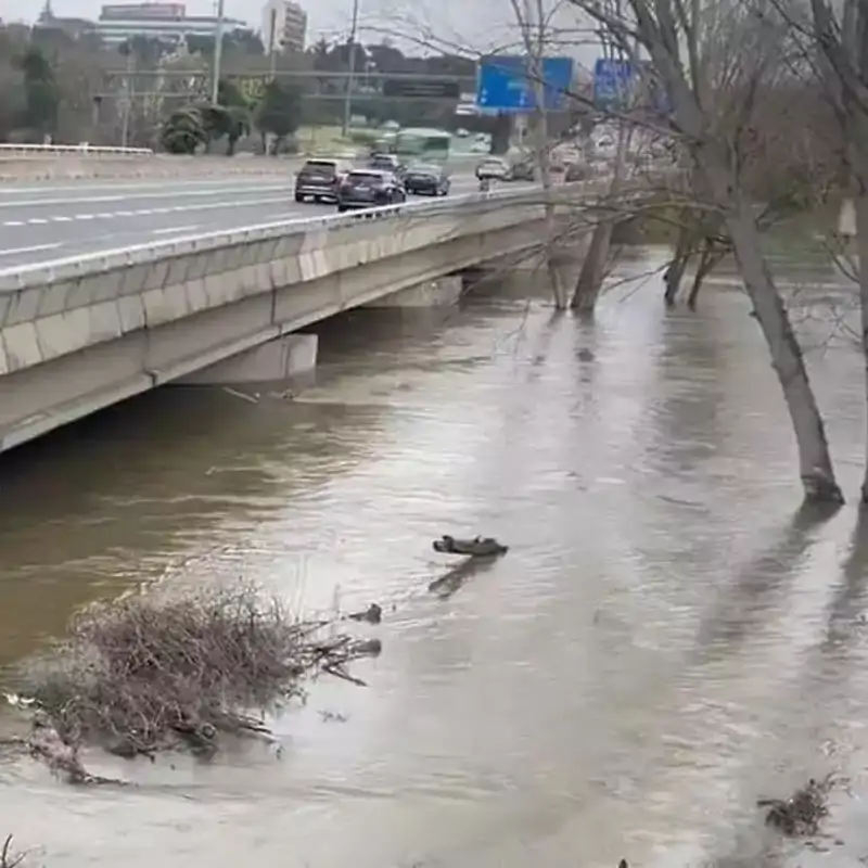 Río Manzanares a su paso bajo la A-6