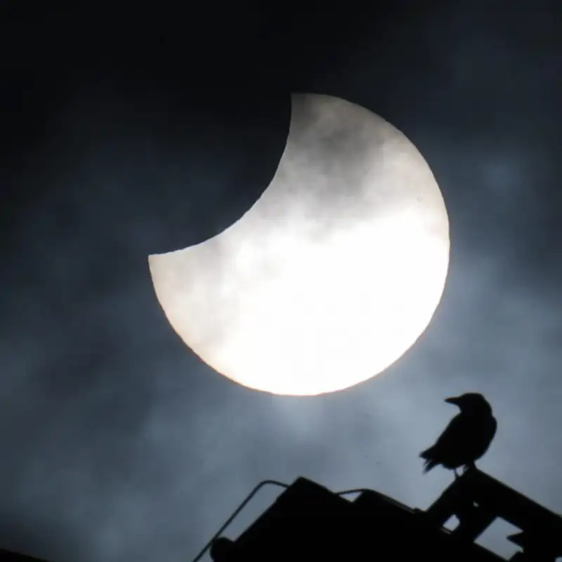 Eclipse parcial de sol