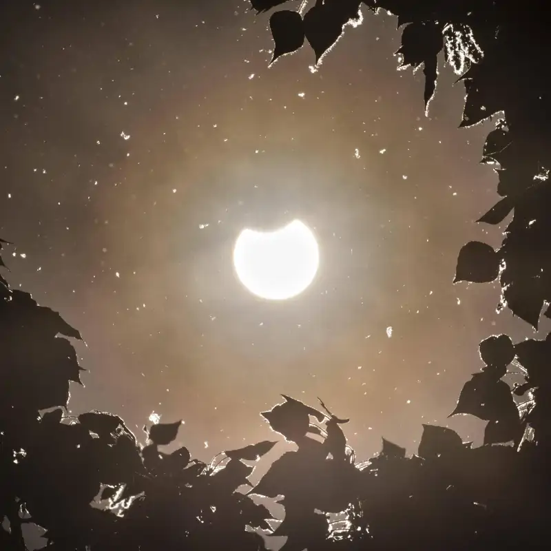 El eclipse solar del 29 de marzo puede volvernos más amables (al menos temporalmente) 