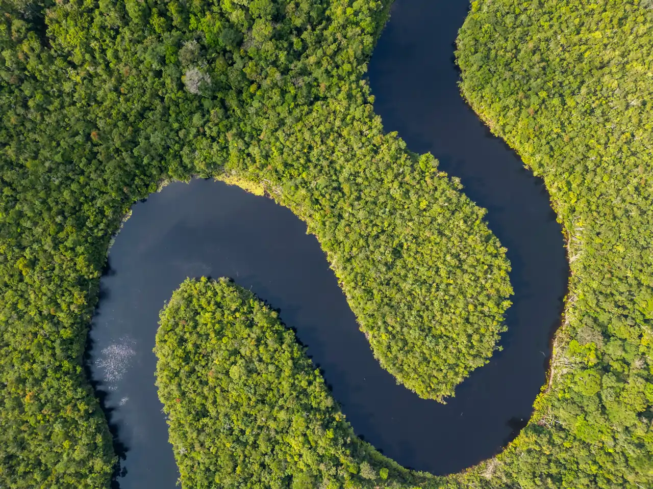 Amazonia.