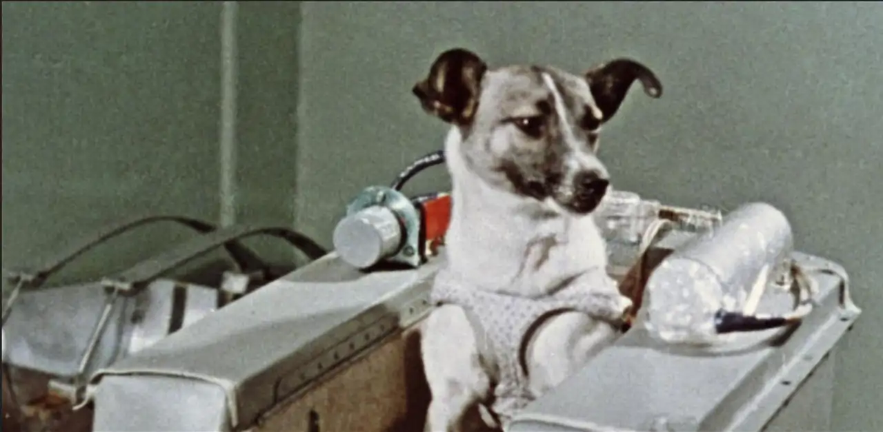 Laika