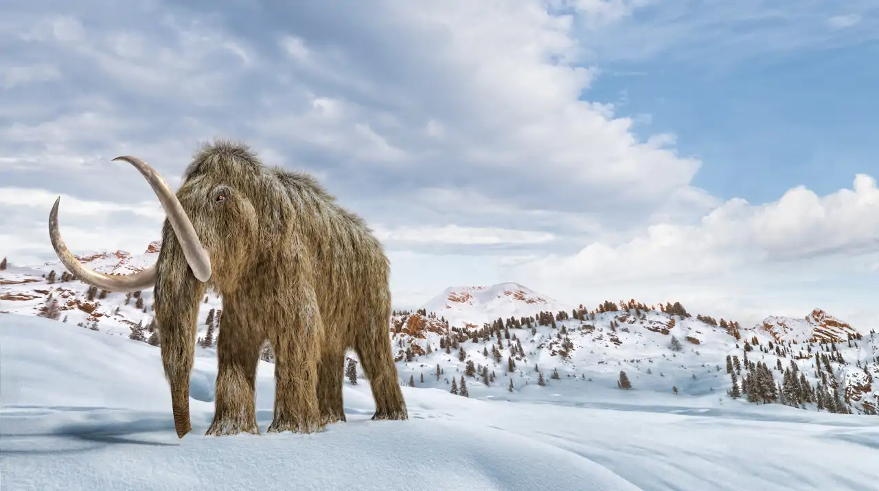 Mamut lanudo en un paraje nevado