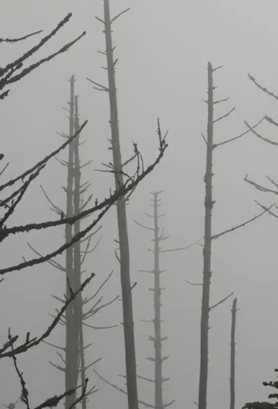 El experimento que demostró que la lluvia también podía contaminar