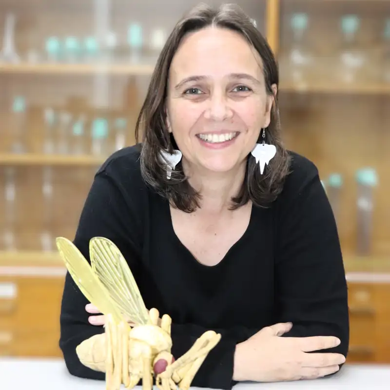 Así podemos evitar la leishmaniasis en la península ibérica