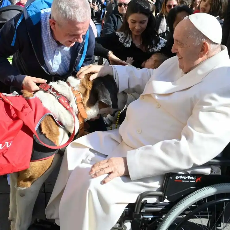Desde gatos hasta elefantes y rinocerontes: la sorprendente historia de los animales del Vaticano