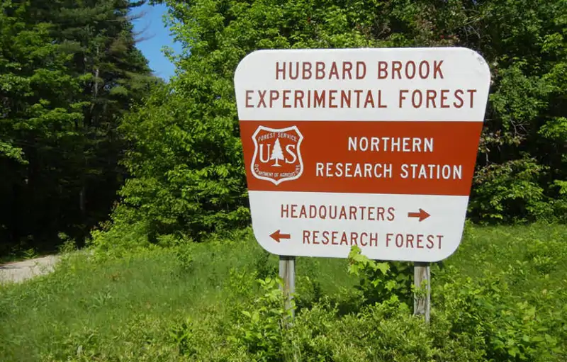 cartel hubbard brook