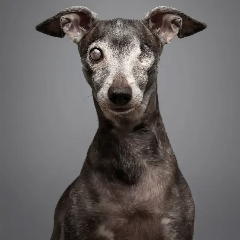 Una mirada que llega hasta el alma