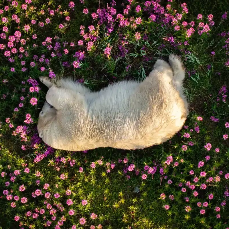 The Nature Photography Contest 2024: las impresionantes fotografías ganadoras
