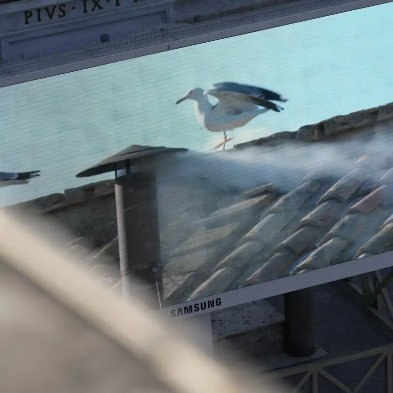 Las gaviotas lo supieron antes (que con el papa estadounidense se vienen las curvas)