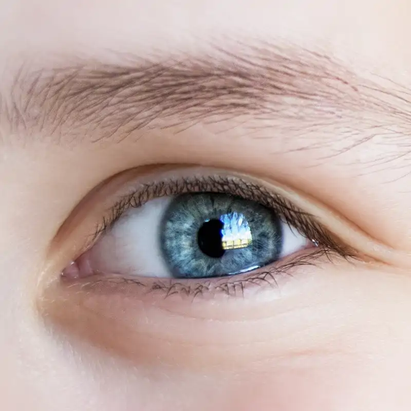 ¿Puede la velocidad de tus ojos influir en tu éxito?