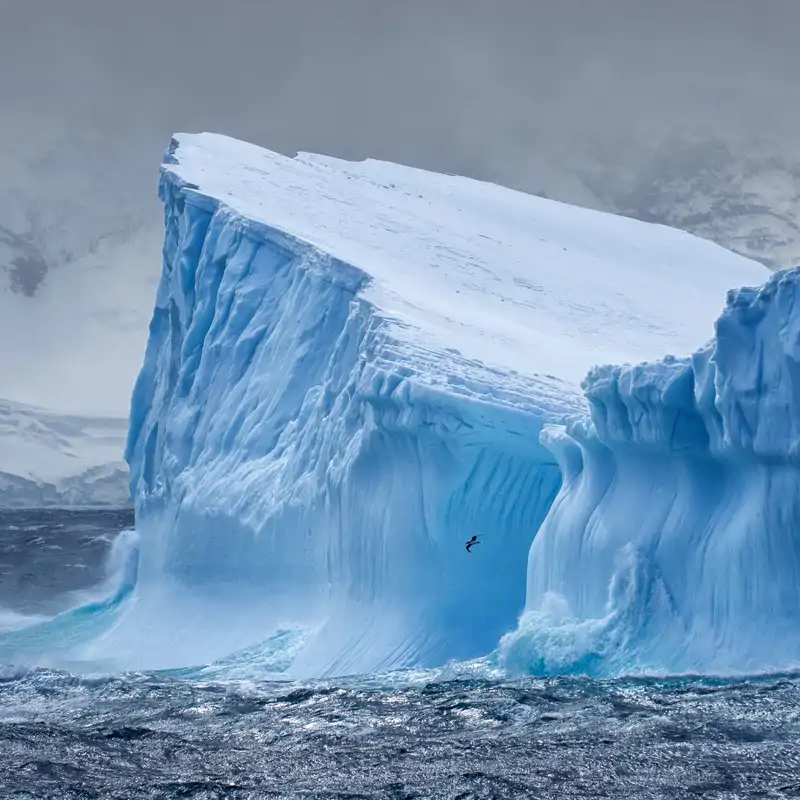 El hielo de la Antártida ocultaba un secreto milenario: un mundo perdido