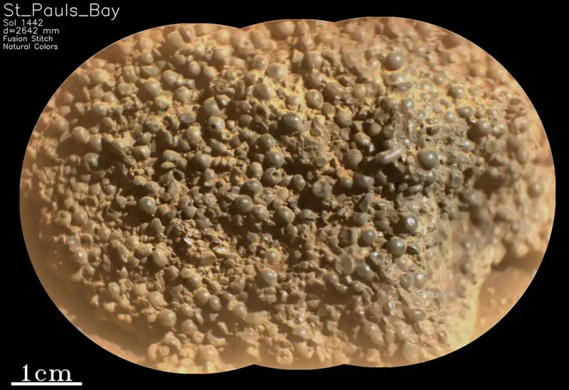 ASCAM SOL1442 scam01442 MOS LR08 FUS RGB St Pauls Bay P01