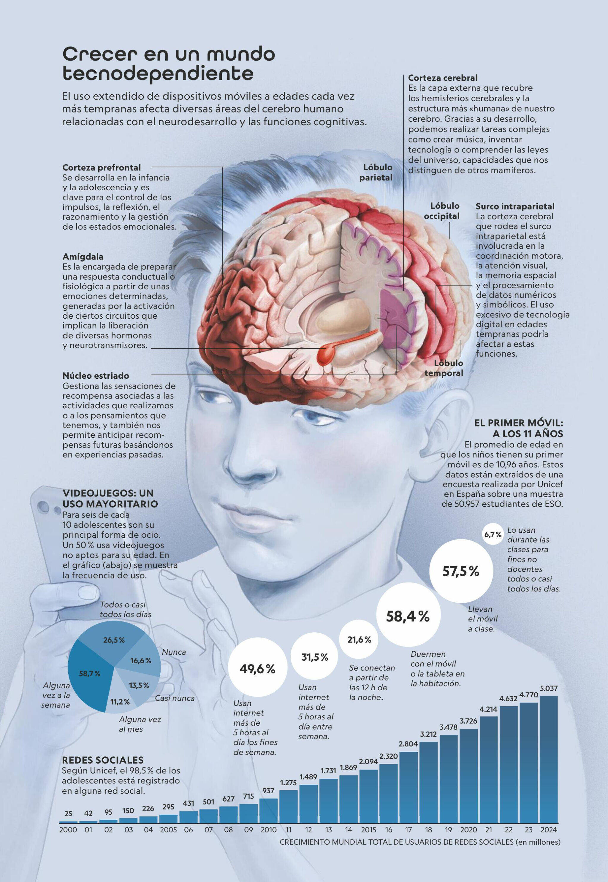 hoja-de-trabajo-con-diagrama-de-estructuras-y-funciones-del-cerebro