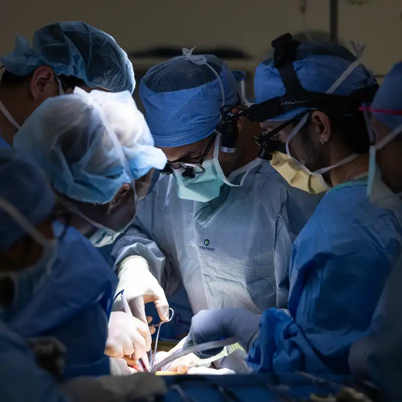 Realizan el primer trasplante de vejiga del mundo: "un momento histórico en medicina”
