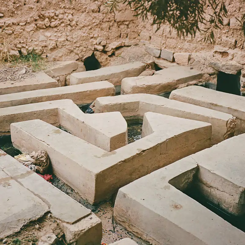 Oasis de Figuig