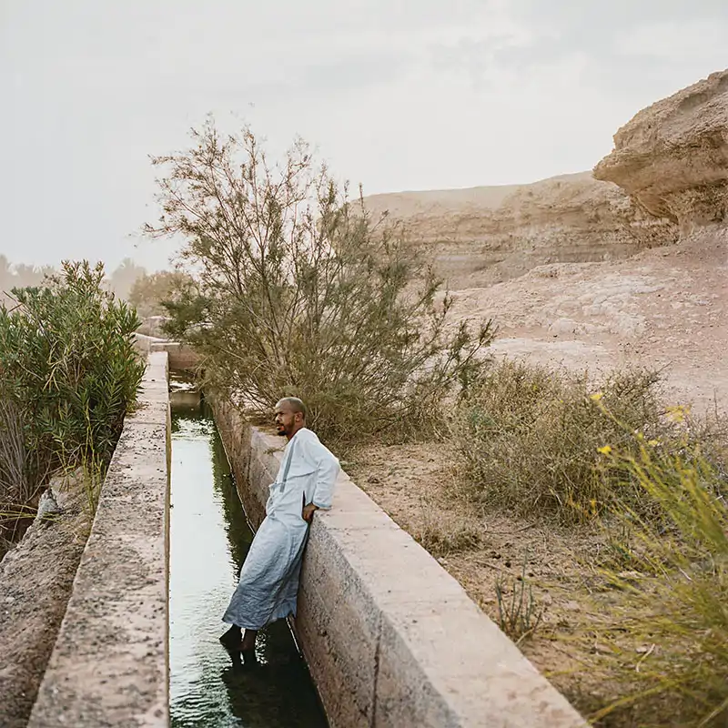 Oasis de Tighmert