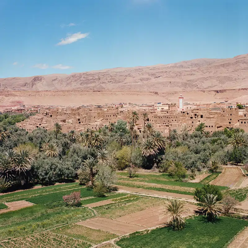 Oasis de Tinghir