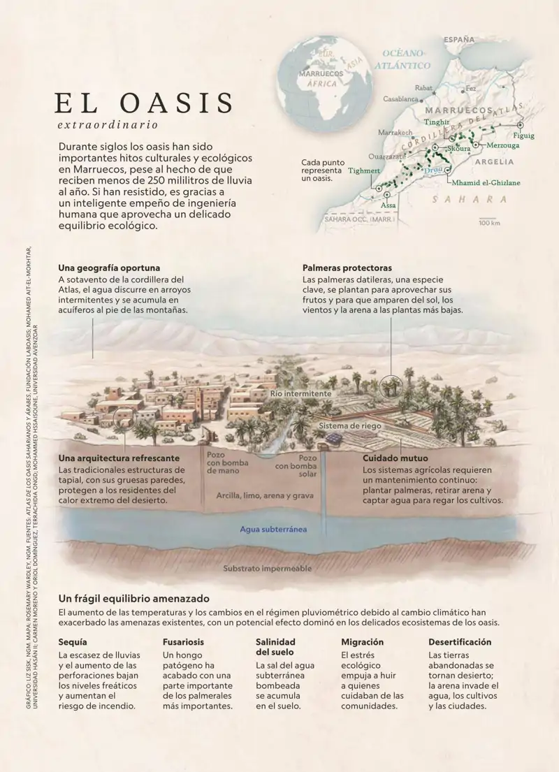 Oasis extraordinarios