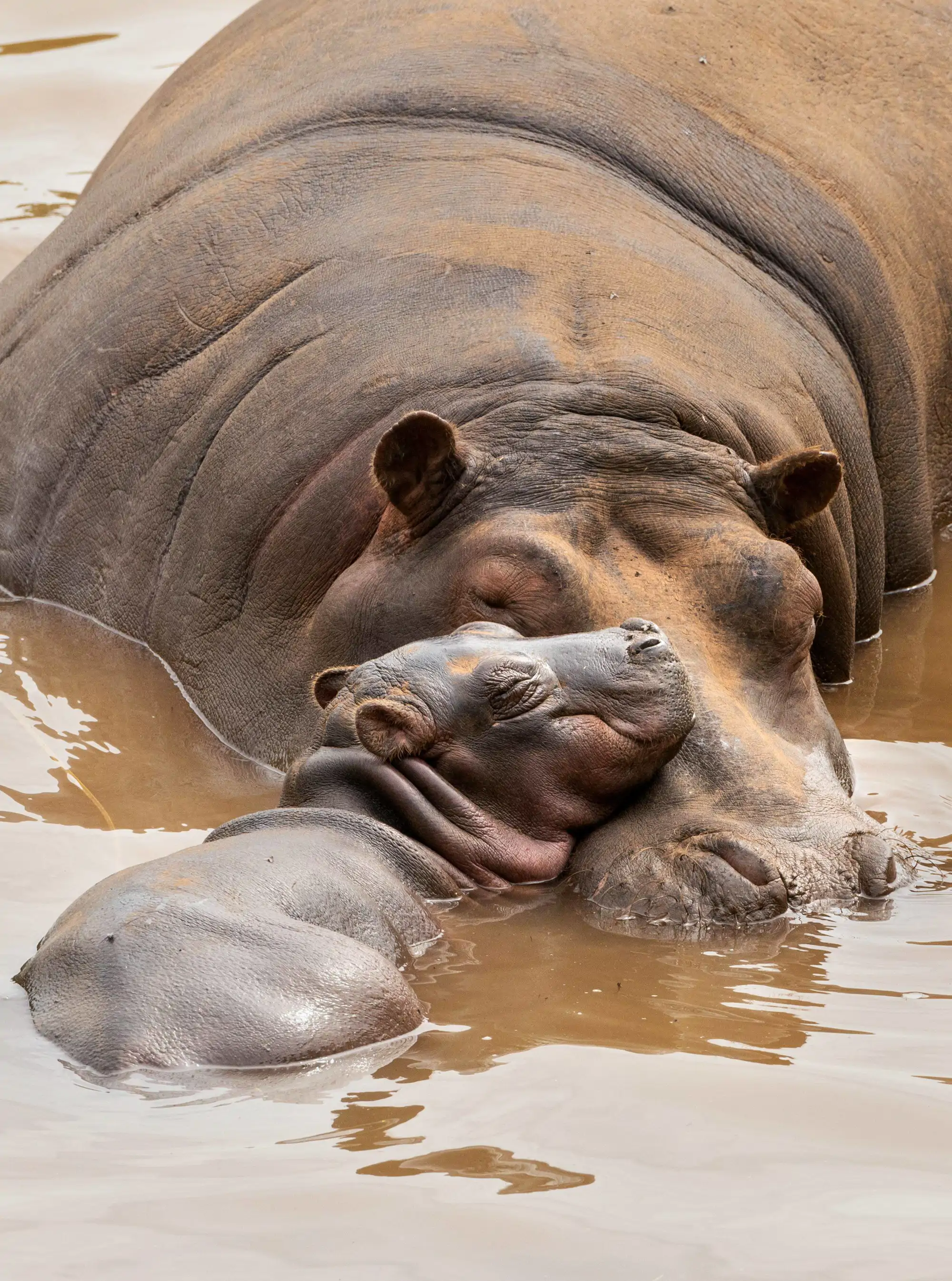 abrazo-genuino_e663c074_250528105910_2000x2690.webp