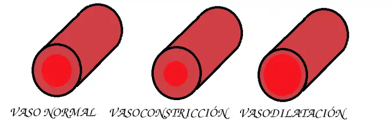 vasolatación