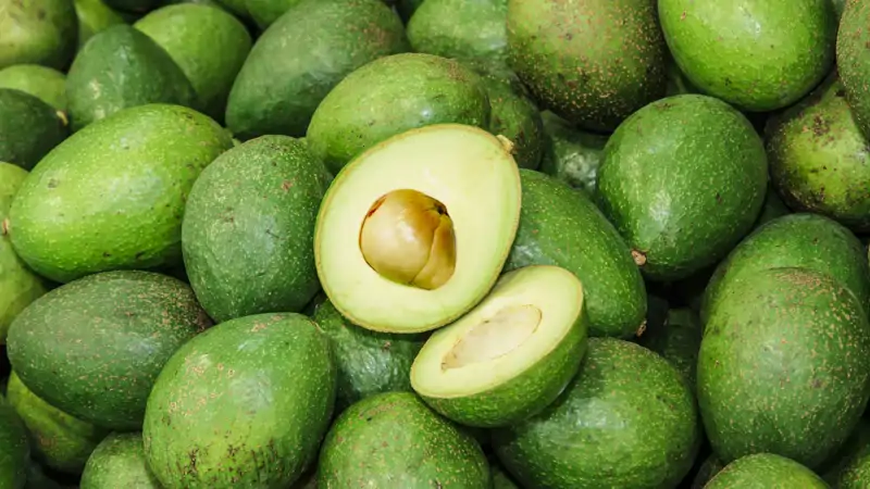 Aguacate