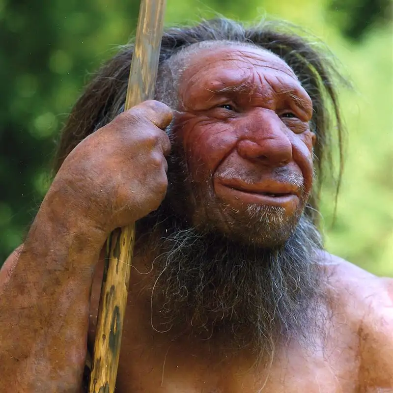 Cuando el cielo ardió: la teoría cósmica que podría explicar la extinción de los neandertales