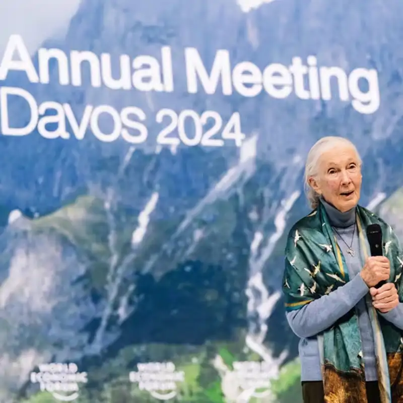 4 lecciones de Jane Goodall a sus 91 años