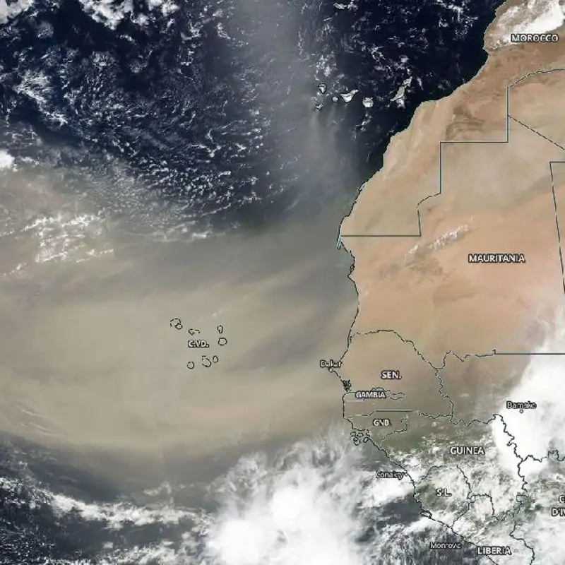 Una gigantesca nube de polvo del Sáhara avanza amenazadoramente hacia Estados Unidos, ¿es peligrosa? 