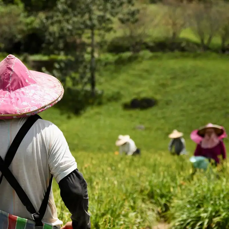Solo hay un país en el mundo que produce suficiente comida para alimentar a toda su población