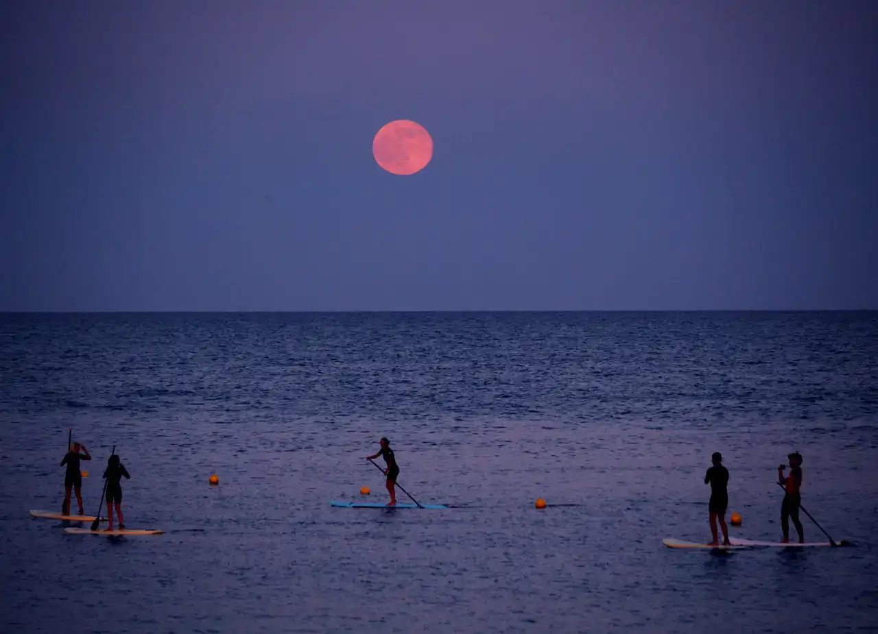 Luna de fresa 