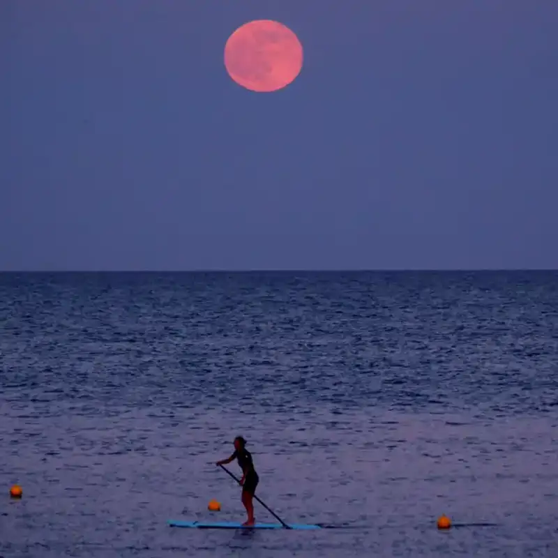 Cuándo y cómo ver la luna de fresa, la luna llena de junio