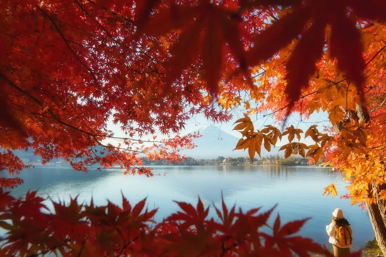 22-woman-looking-at-mt-fuji-across-lake-kawaguchi-yamanashi-japan-alamy-stock-photo-cordon-press-cordon-press_bdc6e37a_250610170808_1280x853.webp