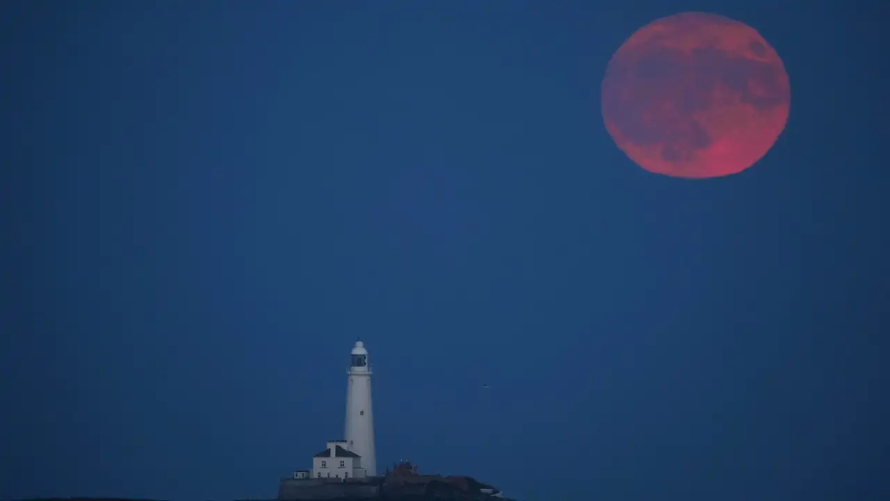 Monikka mancini naked now that I have seen over twenty-four