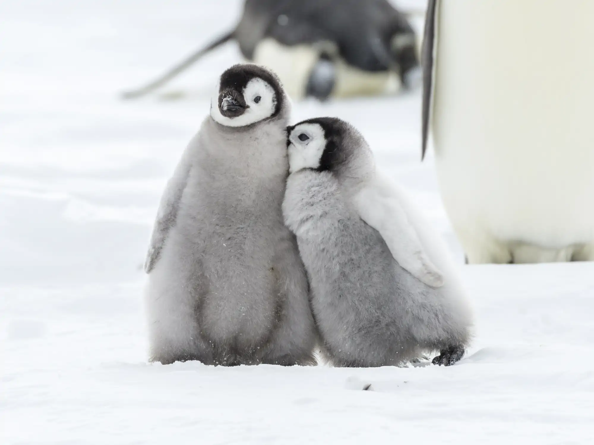 Las 7 fotos de la semana en National Geographic