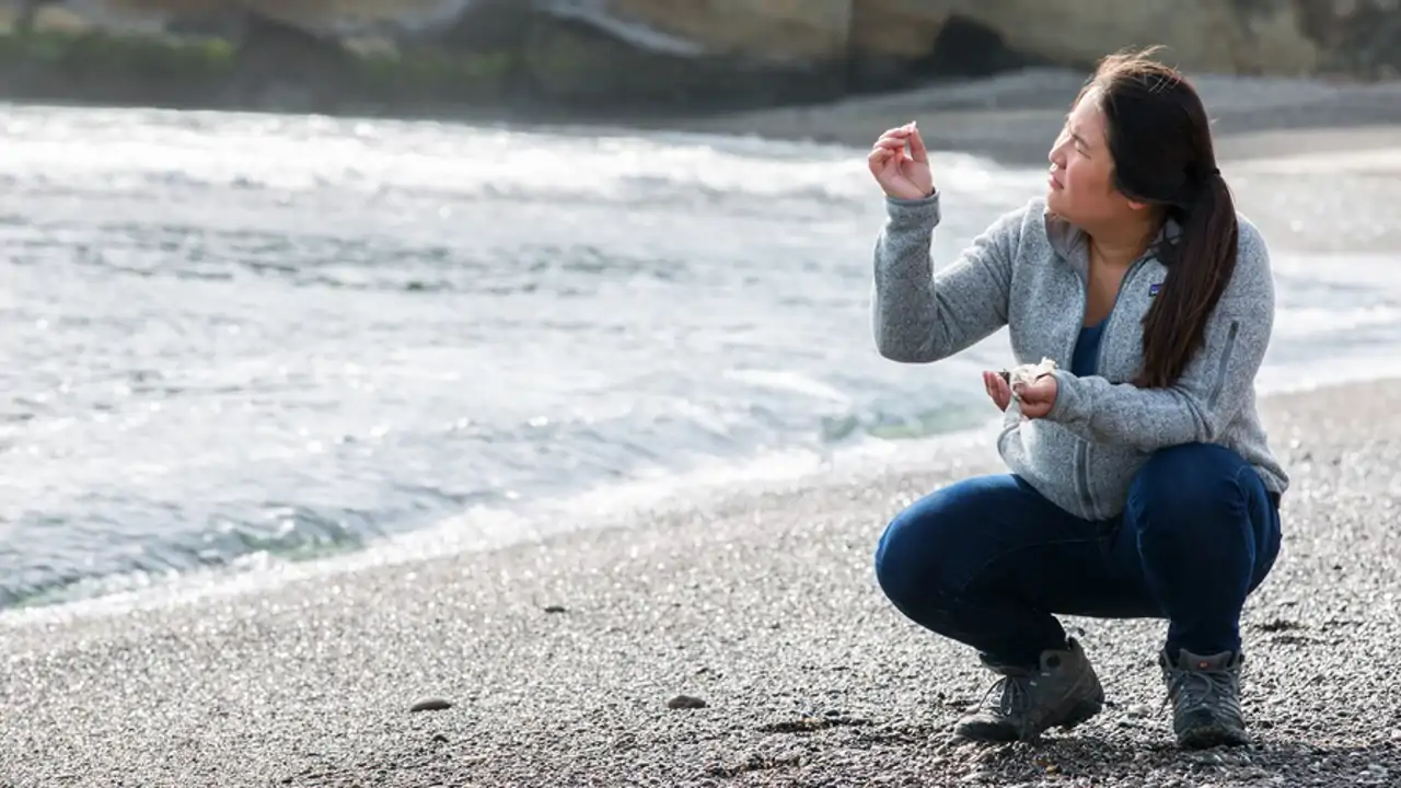 El ingenioso plan para reconvertir desechos plásticos en valiosos componentes químicos y ayudar al planeta