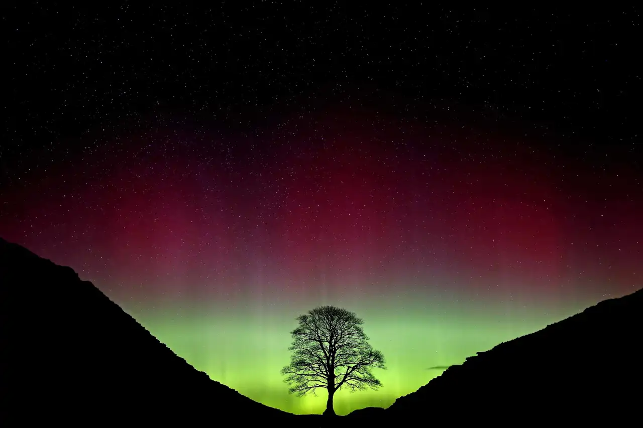12-aurora-boreal-y-arbol-de-robin-hood_a5c3c8c5_250630210748_1280x853.webp