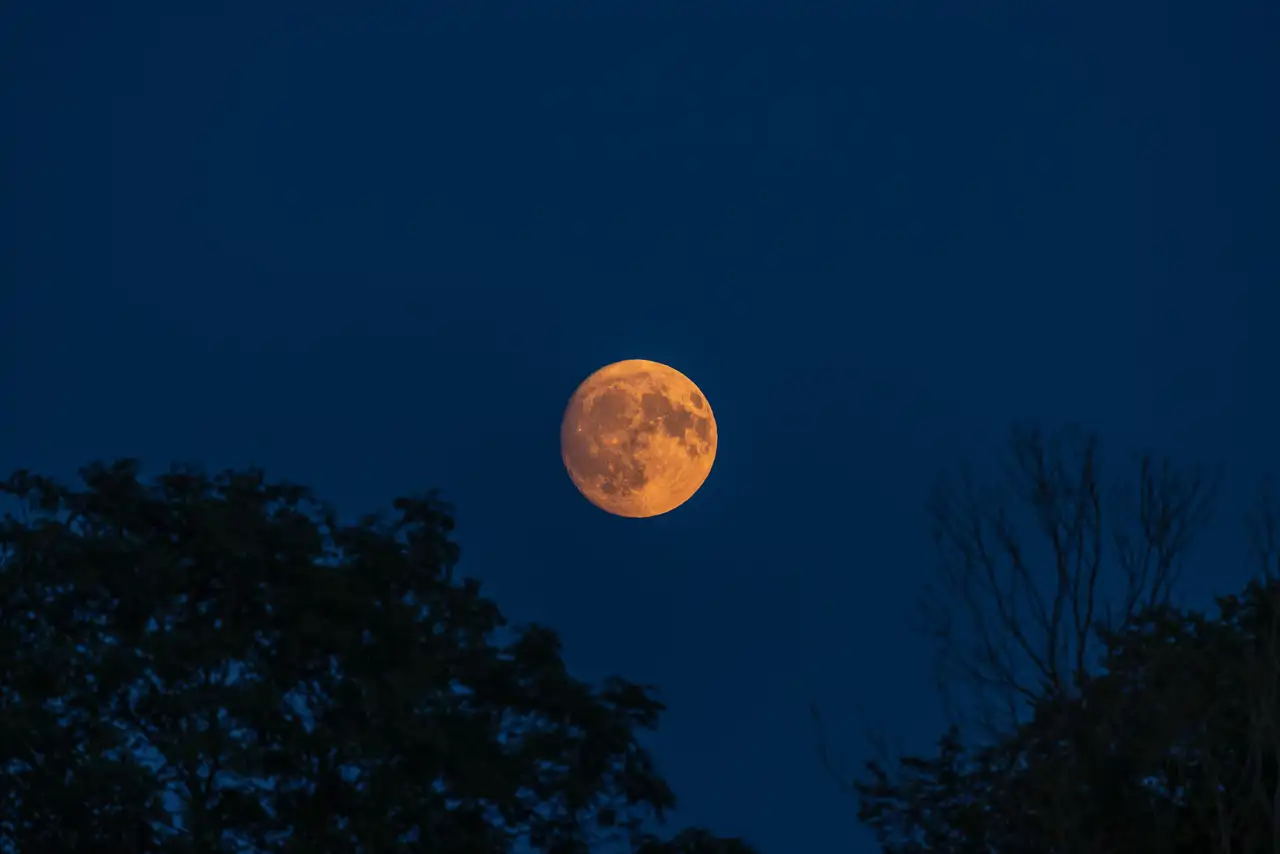 Monikka mancini naked now that I have seen over twenty-four