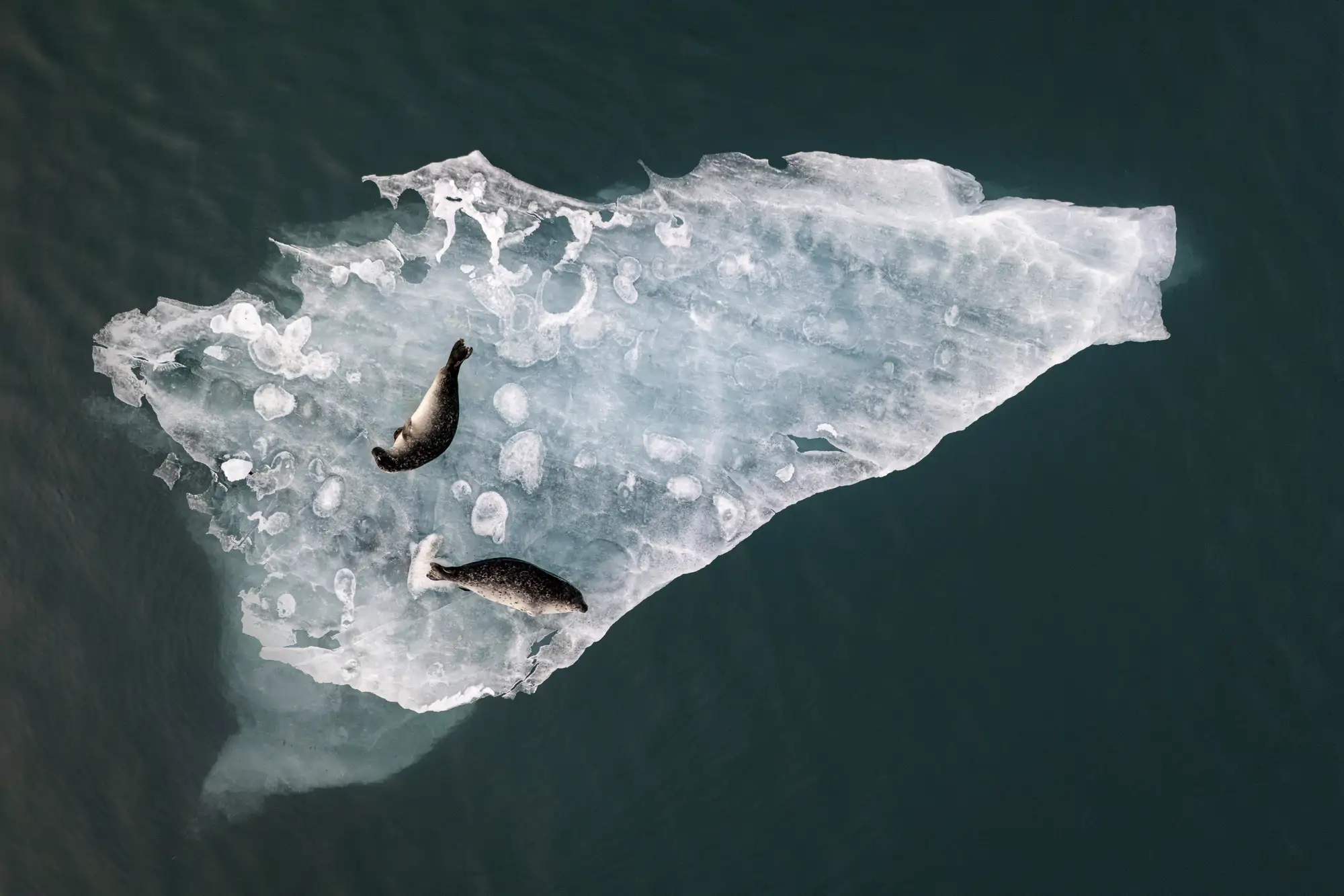 the-inaugural-international-aerial-photographer-of-the-year-fabien-guittard-above-the-ice-icela_377a671c_250708145720_2000x1333.webp