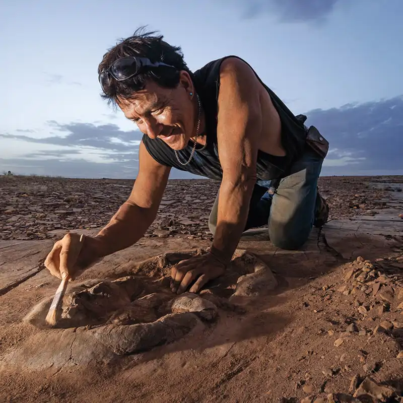 El paraíso de los dinosaurios: Desenterrando 55 toneladas de hueso del Sáhara