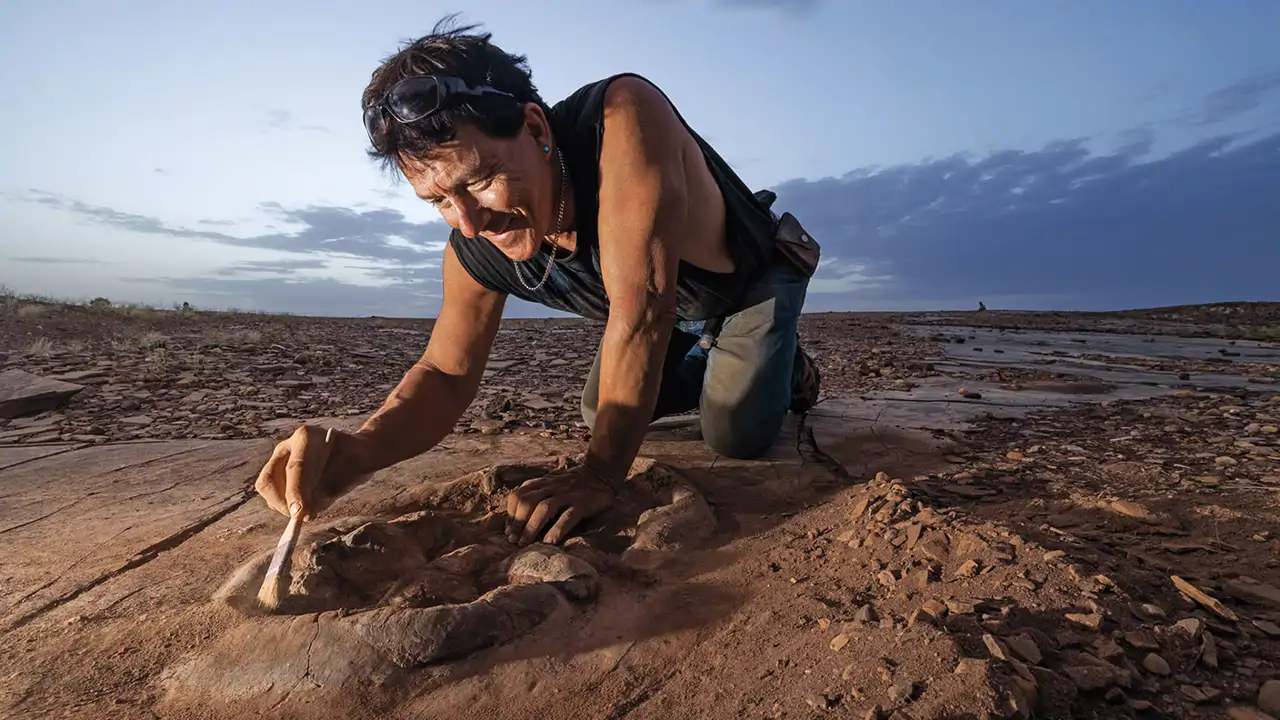 El paraíso de los dinosaurios: Desenterrando 55 toneladas de hueso del Sáhara