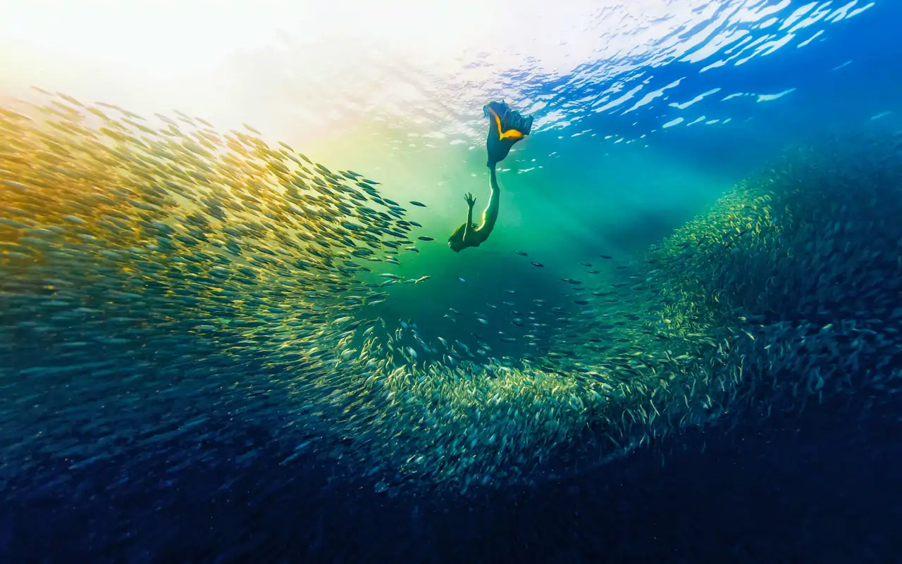 12-sirena-yue-hongjun-ocean-photography-awards_6d703c81_250802182548_1280x801.webp