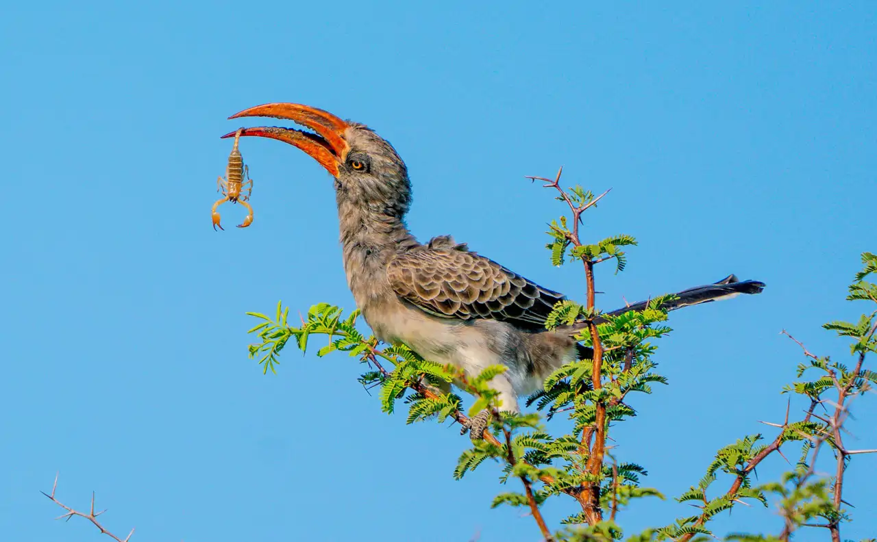 13-comida-peligrosa-v1_390b05e7_250802184841_1280x792.webp