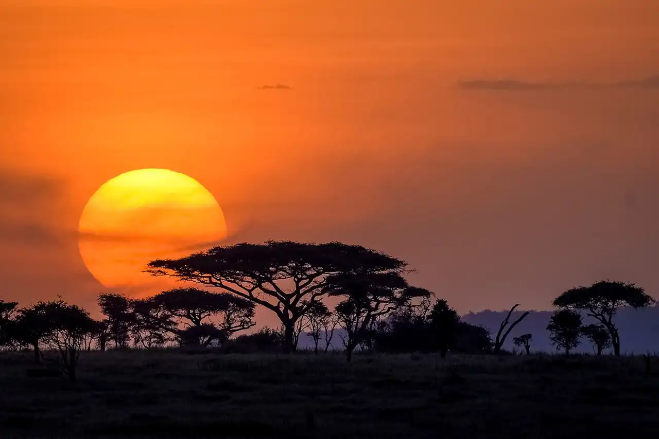 1-serengueti_2566bf60_250813194751_1280x854.webp