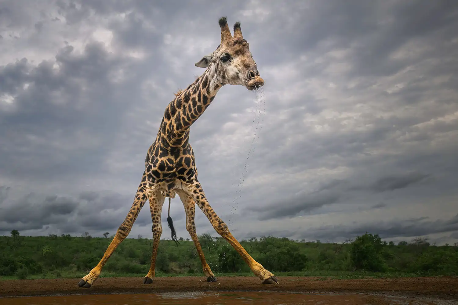 dsc7366-edit-edit_2803e0f1_250819110219_1500x1000.webp