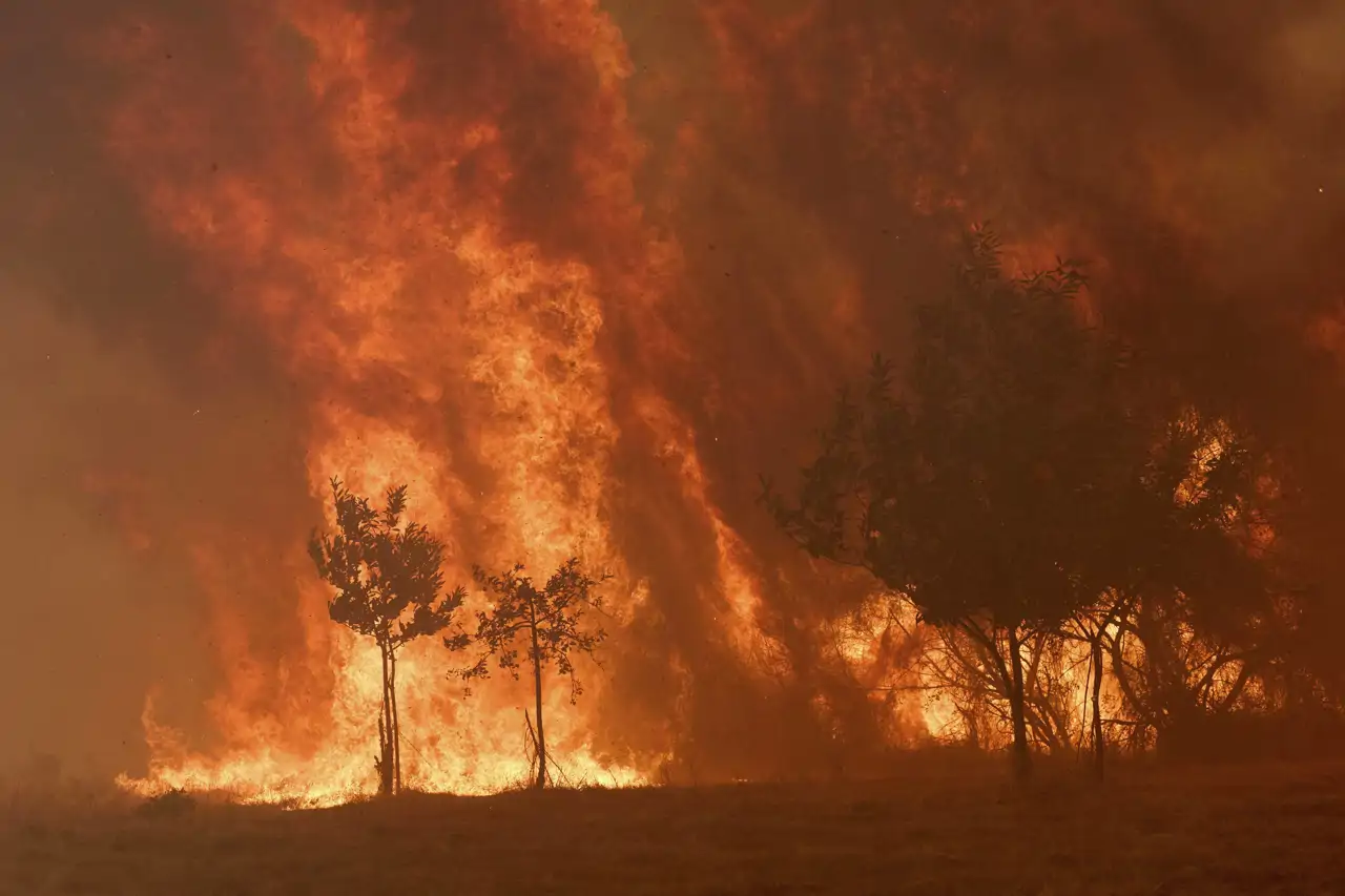 Los peores incendios forestales en la historia de España: 2025 ya es el ...