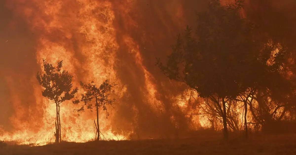 Los peores incendios forestales en la historia de España