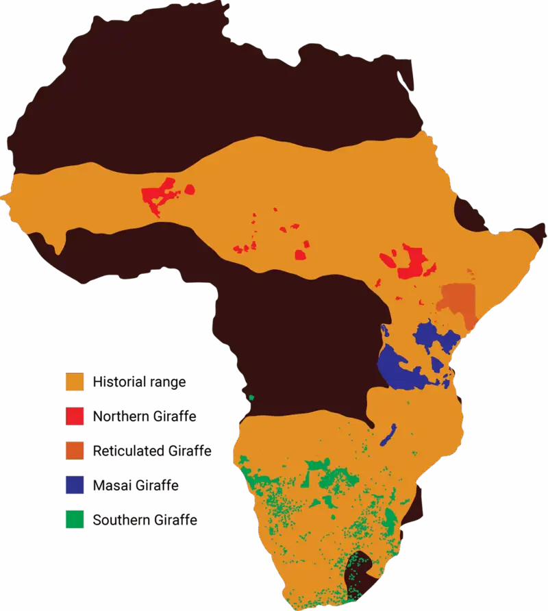 Distribución de las especies